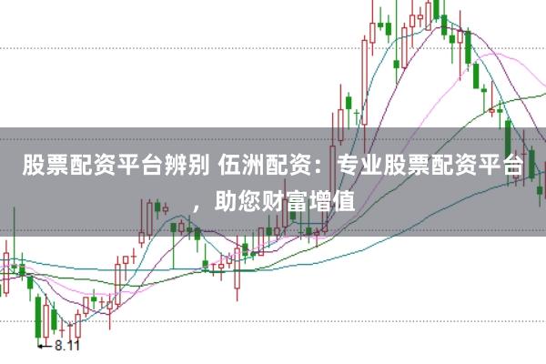 股票配资平台辨别 伍洲配资：专业股票配资平台，助您财富增值