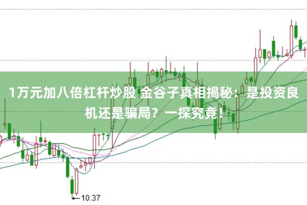 1万元加八倍杠杆炒股 金谷子真相揭秘：是投资良机还是骗局？一探究竟！