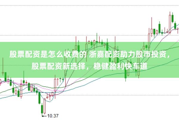 股票配资是怎么收费的 浙嘉配资助力股市投资，股票配资新选择，稳健盈利快车道