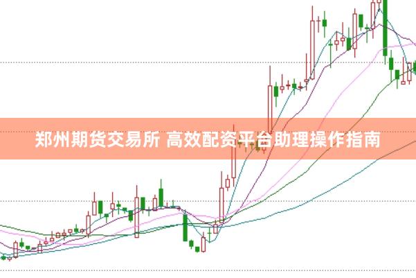 郑州期货交易所 高效配资平台助理操作指南